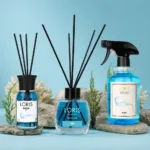 Loris Aqua 3-lü set